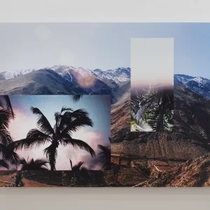 Collage fotográfico de paisaje cordillerano del Valle del Elqui con montañas al fondo, sobre el que se superponen imágenes de palmeras tropicales y fragmentos de vegetación mediante recortes rectangulares. Obra de Fiorella Angelini realizada con collage digital de fotografías análogas 35 mm, impresa en Dibond, 2020.