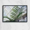 Fotografía análoga de una hoja de palmera verde en primer plano dentro de un invernadero de estructura metálica y vidrio. La imagen fue tomada en la Palm House de Kew Gardens en Londres. Obra Palm Kew de Fiorella Angelini, 2018.