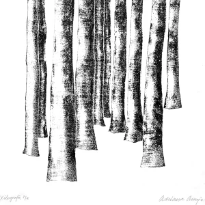 Xilografía en blanco y negro de Adriana Asenjo que representa un bosque abstracto mediante la repetición de troncos verticales con trazo irregular y textura marcada, generando ritmo y profundidad a través de contrastes de luz y sombra. Impresa sobre papel de arroz, 20 x 27 cm, edición P/A.