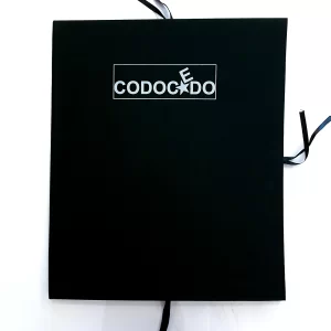 La Bandera - Víctor Hugo Codocedo