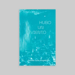 Portada del libro Hubo un viento de Fiorella Luna Angelini, con fondo turquesa texturizado y el título en tipografía blanca centrada.