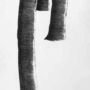 Xilografía en blanco y negro de Adriana Asenjo que presenta tres formas verticales alargadas que remiten a fragmentos de troncos, dispuestas sobre un fondo blanco. Las figuras muestran bordes irregulares y texturas visibles del grabado en madera, con variaciones de densidad en la tinta que enfatizan su materialidad. Xilografía sobre papel de arroz, 62 x 92 cm, 1997, edición P/A.