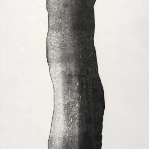 El árbol 3 — Adriana Asenjo