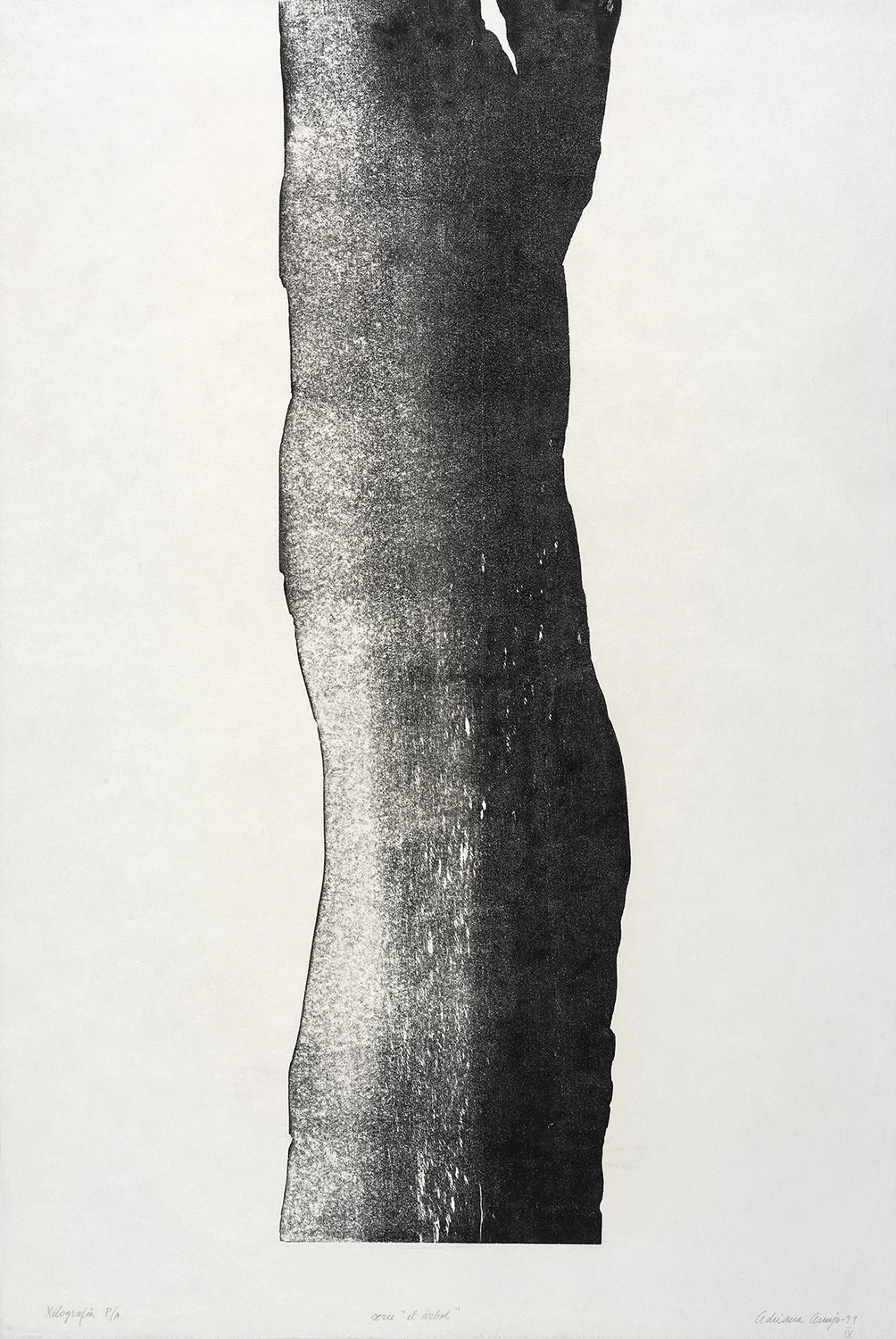 El árbol 3 — Adriana Asenjo