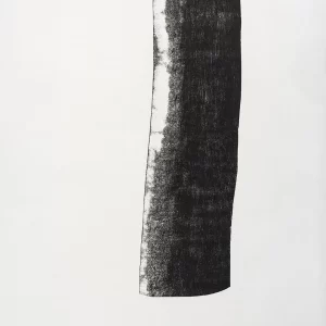 El árbol 6 — Adriana Asenjo