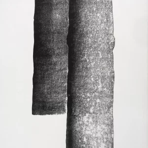 El árbol 8 — Adriana Asenjo