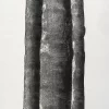 Xilografía en blanco y negro de Adriana Asenjo que muestra tres fragmentos verticales que evocan troncos de árbol, dispuestos en paralelo sobre fondo blanco. Las formas presentan bordes irregulares y superficies densamente texturadas, con zonas de alto contraste que revelan las vetas de la madera y la materialidad del grabado. Xilografía sobre papel de arroz, 62 x 92 cm, 1999, edición P/A.