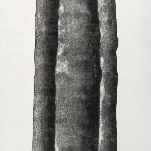 Xilografía en blanco y negro de Adriana Asenjo que muestra tres fragmentos verticales que evocan troncos de árbol, dispuestos en paralelo sobre fondo blanco. Las formas presentan bordes irregulares y superficies densamente texturadas, con zonas de alto contraste que revelan las vetas de la madera y la materialidad del grabado. Xilografía sobre papel de arroz, 62 x 92 cm, 1999, edición P/A.