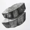 Xilografía en blanco y negro de Adriana Asenjo que muestra un tronco seccionado en dos fragmentos que se superponen diagonalmente sobre fondo blanco. Los cortes oblicuos exponen la sección transversal de la madera, revelando sus vetas y anillos internos. Las superficies densamente texturadas y los contrastes entre zonas oscuras y claras evidencian la materialidad del grabado. Xilografía sobre papel de arroz, 70 x 75 cm, 1995, edición P/A.