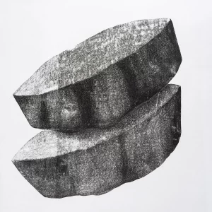Xilografía en blanco y negro de Adriana Asenjo que muestra un tronco seccionado en dos fragmentos que se superponen diagonalmente sobre fondo blanco. Los cortes oblicuos exponen la sección transversal de la madera, revelando sus vetas y anillos internos. Las superficies densamente texturadas y los contrastes entre zonas oscuras y claras evidencian la materialidad del grabado. Xilografía sobre papel de arroz, 70 x 75 cm, 1995, edición P/A.