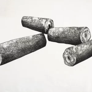 Xilografía en blanco y negro de Adriana Asenjo que muestra cuatro troncos seccionados dispuestos de forma dispersa sobre fondo blanco. Los cortes transversales en los extremos revelan los anillos y vetas internas de la madera. Las formas cilíndricas se entrecruzan en distintas direcciones, con superficies densamente texturadas que evidencian la materialidad del grabado. Xilografía sobre papel de arroz, 70 x 53 cm y 70 x 30 cm, 1995, edición P/A.