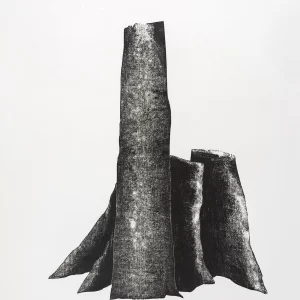 Díptico Mutilación 4 — Adriana Asenjo