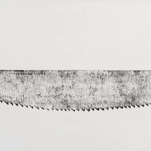 Díptico Mutilación 4 — Adriana Asenjo - Imagen 2