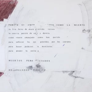 Porque el amor – Diego Maquieira