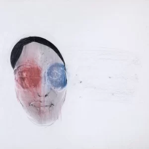 Dibujo 9 – Diego Maquieira
